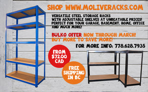 Last Days of March Bulko Offer